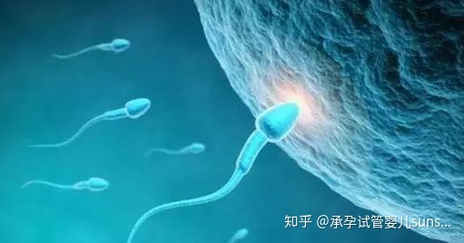 有妇科炎症做供卵试管婴儿能成功吗？