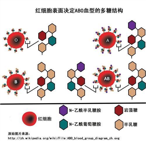 欧诗漫治疗多囊的正确服用方法，这次停药没有终生遗憾