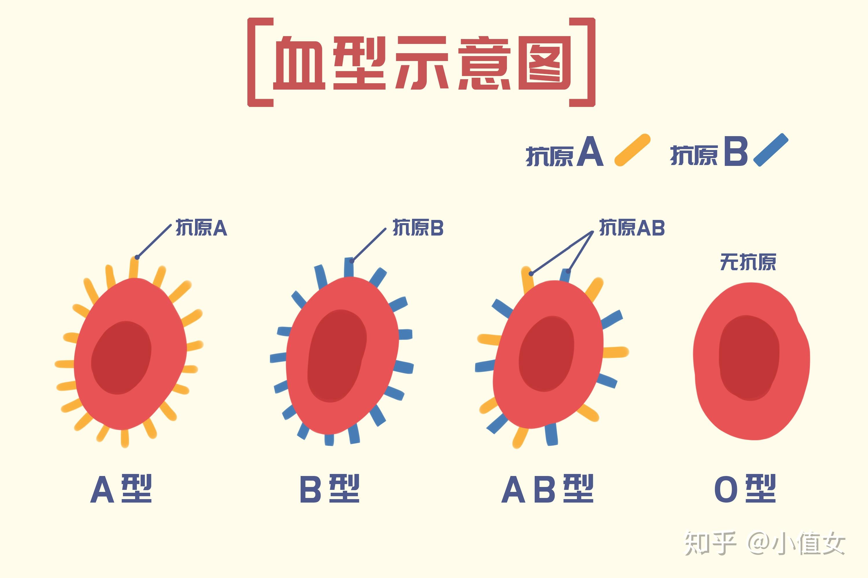 省妇幼试管婴儿专家