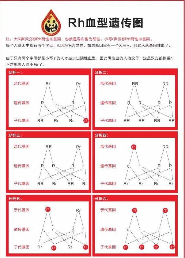 做借卵试管医院移植7天囊与5天囊最大的区别是什么