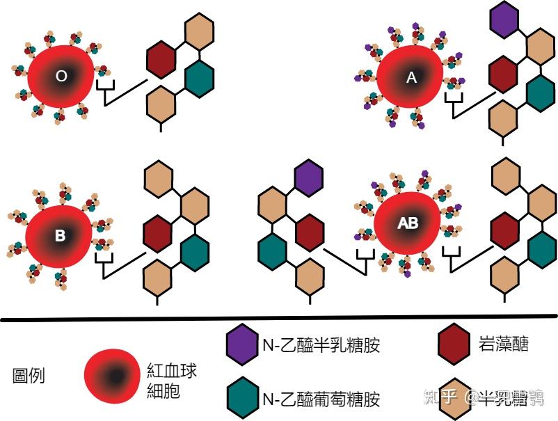 广西柳州试管黄河广西柳州医院